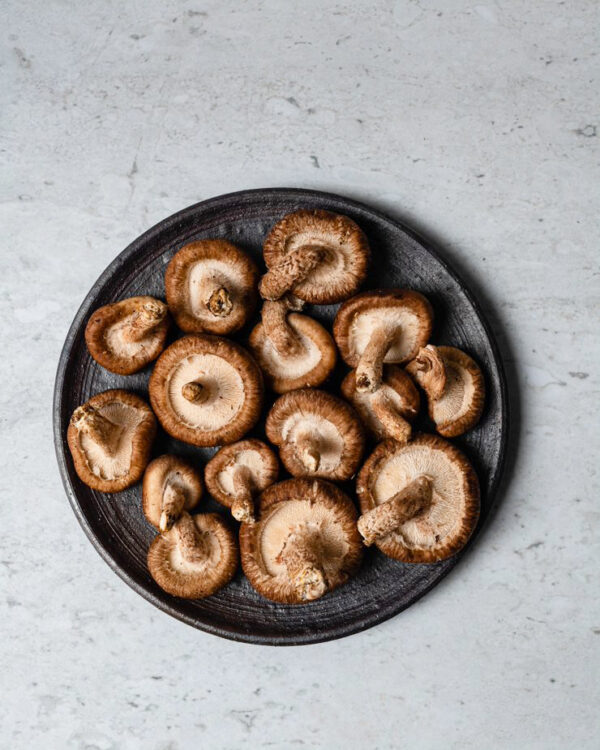 Shiitake seleccionado